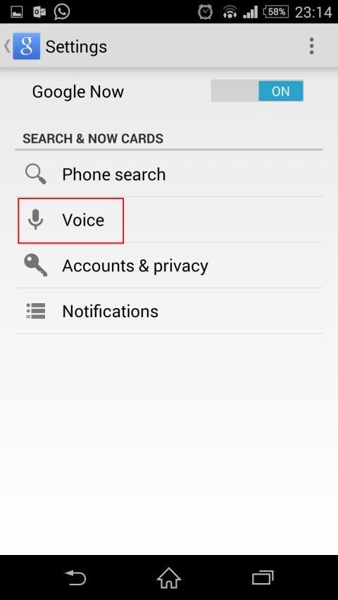 ok google voice option